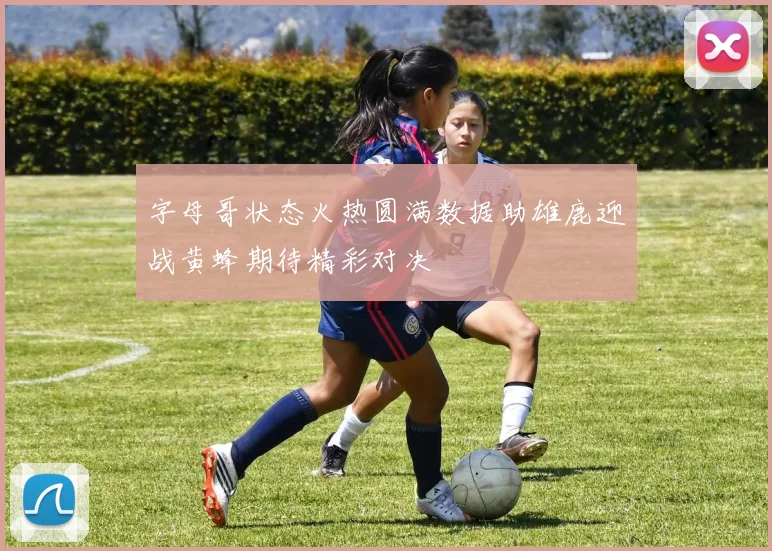 字母哥状态火热圆满数据助雄鹿迎战黄蜂期待精彩对决