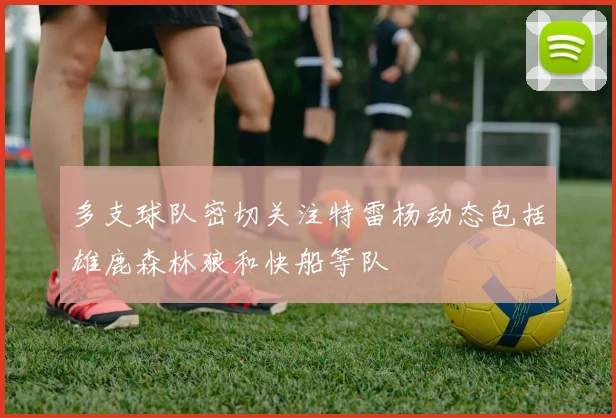 多支球队密切关注特雷杨动态包括雄鹿森林狼和快船等队