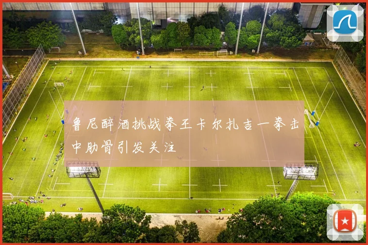 鲁尼醉酒挑战拳王卡尔扎吉一拳击中肋骨引发关注