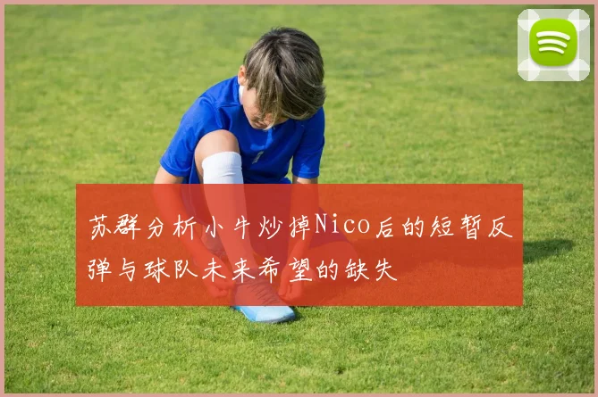 苏群分析小牛炒掉Nico后的短暂反弹与球队未来希望的缺失