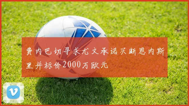 费内巴切寻求尤文承诺买断恩内斯里并标价2000万欧元