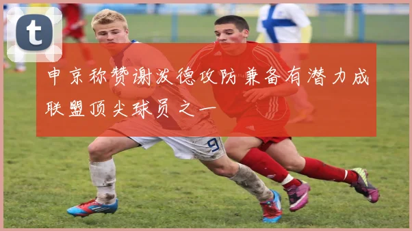 申京称赞谢泼德攻防兼备有潜力成联盟顶尖球员之一